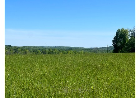 NY Southern Tier land for sale