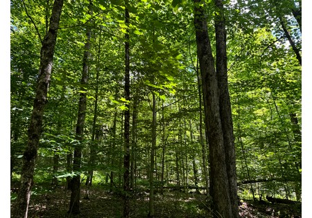 NY hunting land for sale