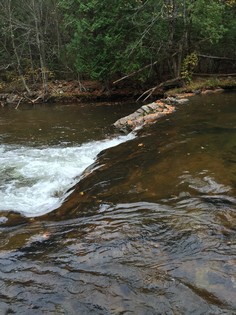 Adirondack waterfront NY land for sale