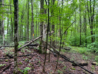 NY hunting land for sale