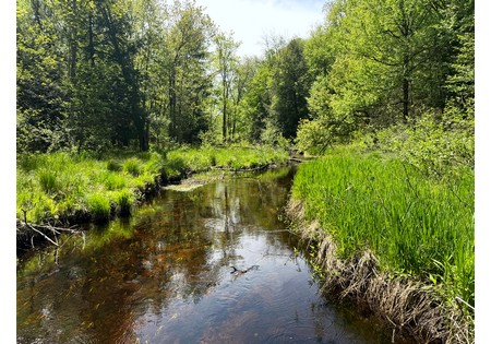 NY land for sale near Oneida Lake