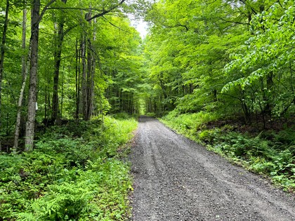 NY Southern Tier land for sale