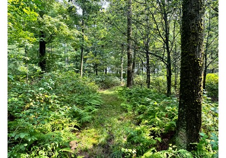 Finger Lakes area NY land for sale