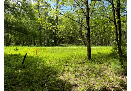 Oneida Lake NY area land for sale