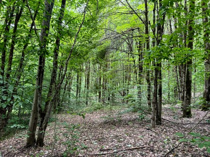 ny camps for sale