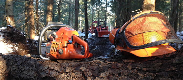 Land Buying Companies NY State Forestry From Land And Camps