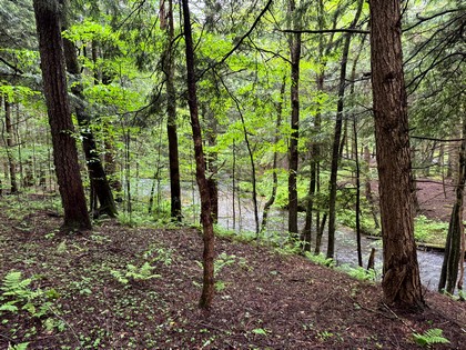 NY log cabin for sale