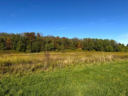 NY Southern Tier land for sale
