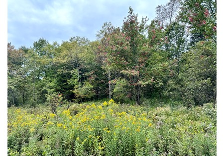 NY land for sale