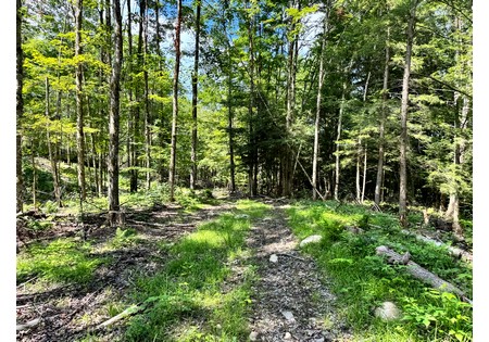 NY hunting land for sale