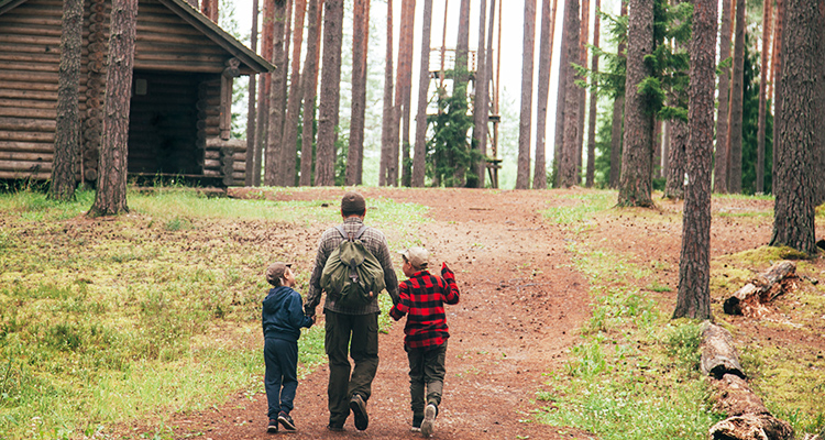 cabins for sale adirondacks ny father and sons walking in woods christmas and associates