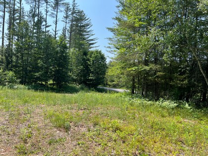 Adirondack NY land for sale