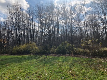 NY land for sale in Pharsalia NY