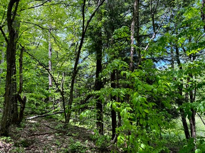 NY waterfront land for sale
