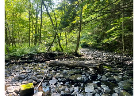 NY hunting land for sale