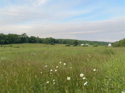 NY farm land for sale Tug Hill NY