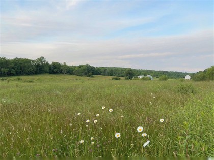 NY farm land for sale Tug Hill NY