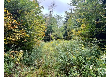NY land for sale