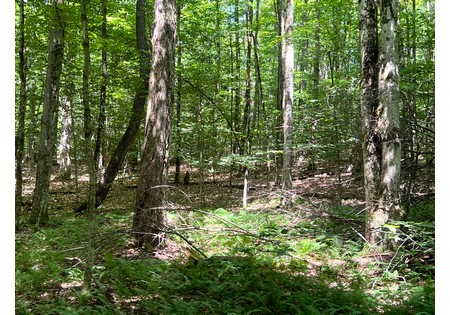 NY hunting land for sale