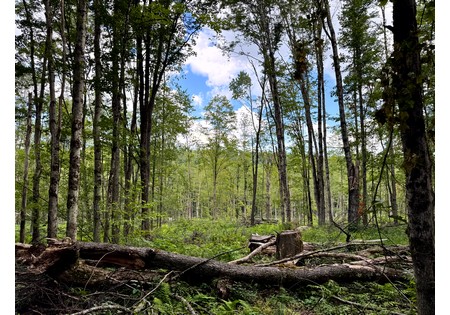 NY land for sale
