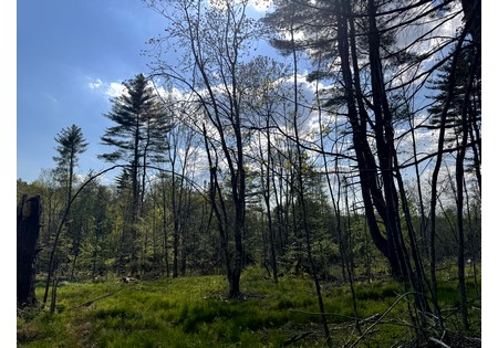 NY land for sale in Tug Hill area