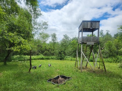 NY camps for sale