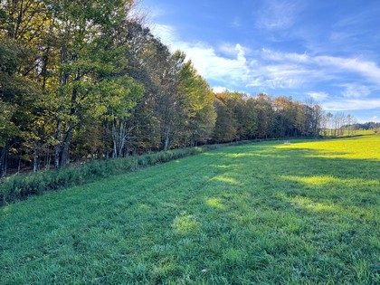 Chenango county NY land for sale