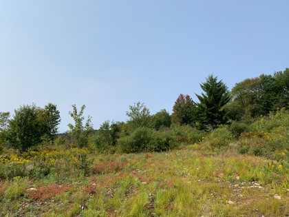 NY land with views Osceola NY