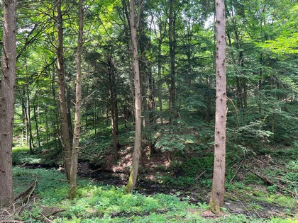 NY land for sale