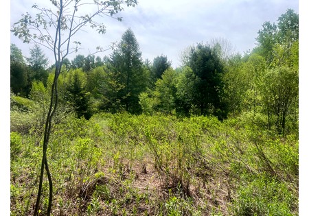 Land for sale NY