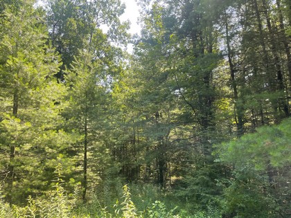 NY building lot land for sale
