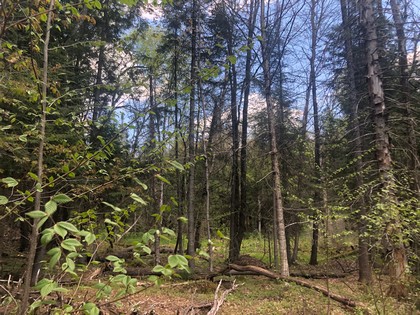 Building site near Adirondacks - NY Land for sale