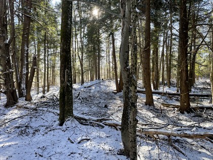 NY waterfront land for sale