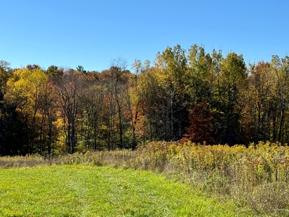 NY Southern Tier land for sale