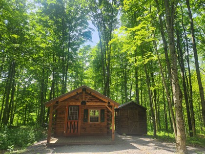 NY camps for sale - Salmon River area