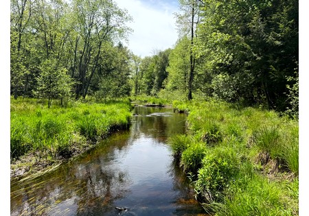 Oneida Lake NY area land for sale