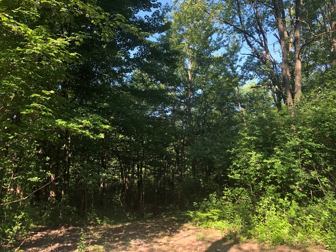 ny hunting land for sale in williamstown ny