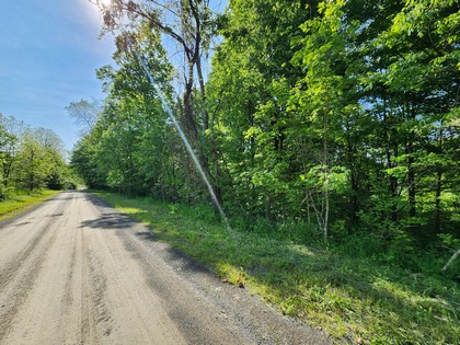 NY hunting land for sale