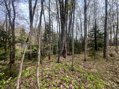 NY camps for sale
