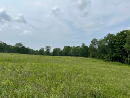 NY waterfront land for sale, land and camps, ny waterfront properties, ny lakefront land, christmas 