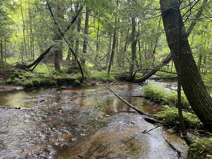 Adirondack camp for sale, cabins, land and camps, ny properties, ny camps sale, Adirondack camps for sale, christmas associates