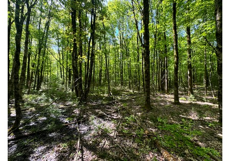 NY land for sale 