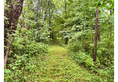 NY Finger Lakes property for sale