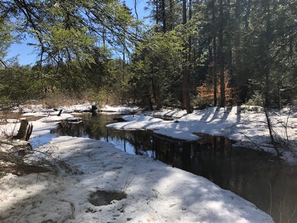 NY land and camp for sale Camden NY