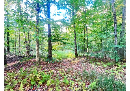 Tug Hill NY hunting land for sale