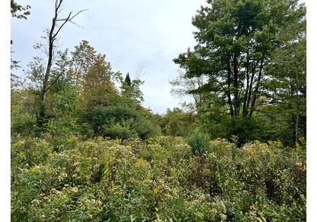 NY hunting land for sale