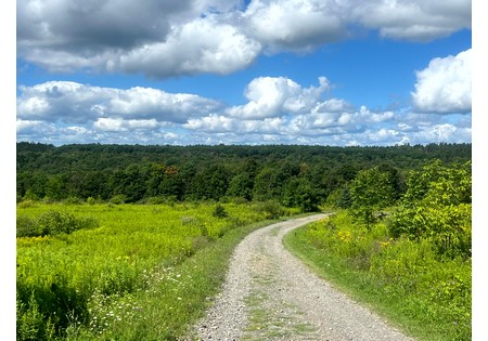 NY hunting camps for sale