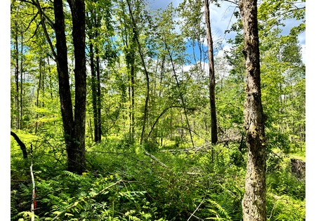 NY land for sale