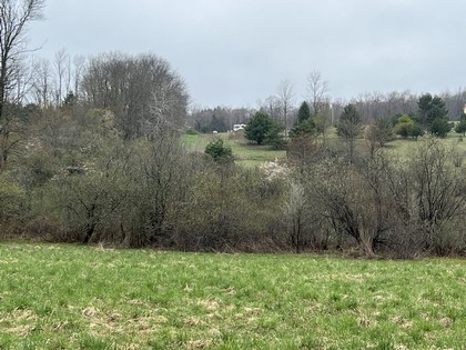 NY building lot for sale New Lisbon NY