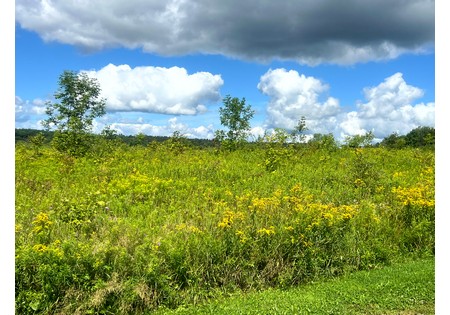 NY hunting camps for sale